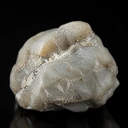 Ambergris