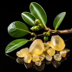 Elemi