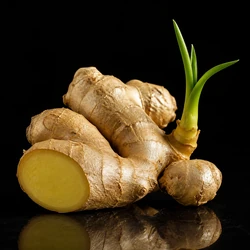 Ginger