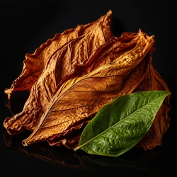 Tobacco
