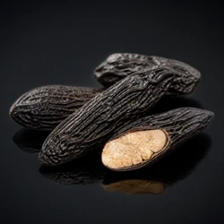 Tonka Bean
